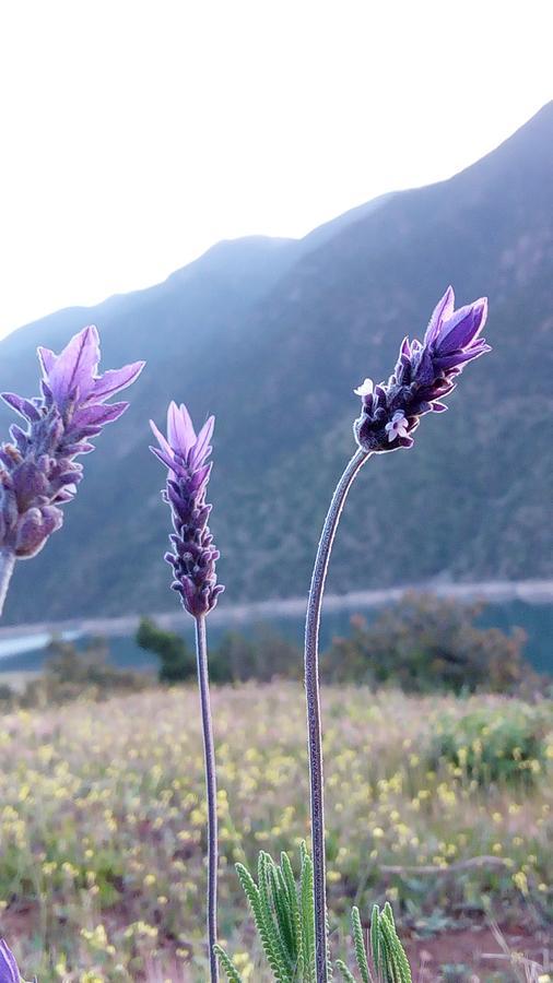 Gite Du Lac ウリガン エクステリア 写真
